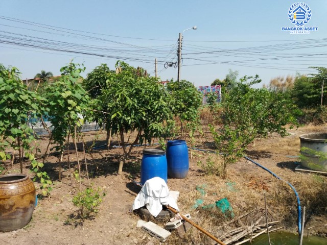 *****บ้านเดี่ยวมือสองย่านนนทบุรี ม.บ้านสวนซอยวัดลาดปลาดุก กาญจนาภิเษก หลังมุม! เนื้อที่กว้างขวางถึง 114.2 ตร.ว. ฟังก์ชัน 3 ห้องนอน 2 ห้องน้ำ 2 ที่จอดรถ  บ้านสวน ต้นไม้เยอะร่มรื่น ใกล้ชุมชน บนทำเลศักยภาพ ใกล้รถไฟฟ้าสายสีม่วง "สถานีคลองบางไผ่"